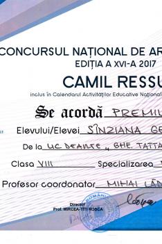 Premiul III - Camil Ressu - Sînziana Georgescu