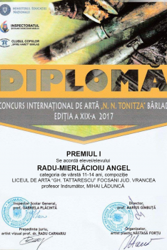 Premiul I - N Tonitza - Radu Angel
