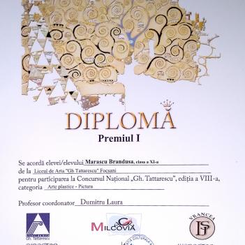 Diplome Pictura 13