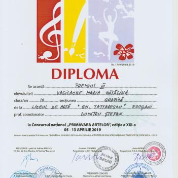 Diplome Pictura 2014