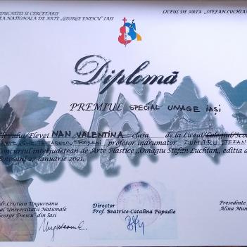 Diplome Pictura 3