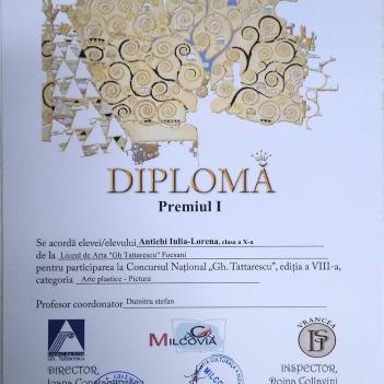 Diplome Pictura 8
