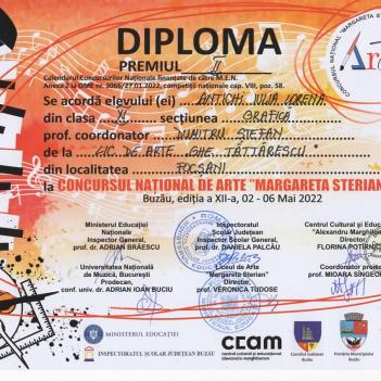 Diplome Pictura 11