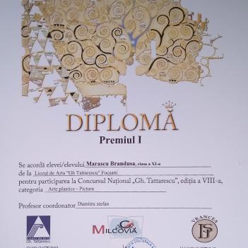 Diplome Pictura 12