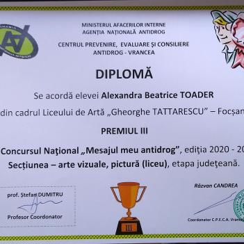 Diplome Pictura 5